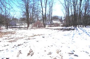 gal/Button House - Moving/tn_DCP_1723.jpg